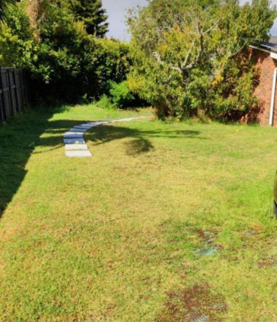 Separate Entry Guest Room With Private Bathroom In Forrest Hill Auckland Eksteriør billede